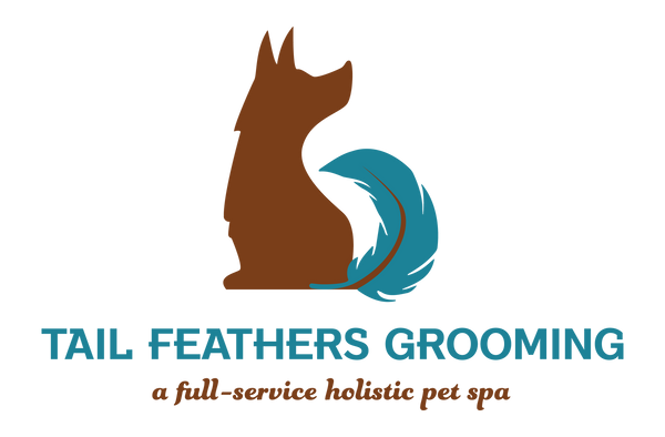 Tail Feathers Grooming